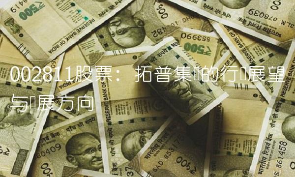 002811股票：拓普集团的行业展望与发展方向