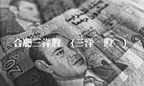 合肥三洋股吧(三洋马股吧)
