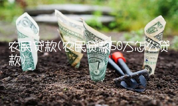 农民贷款(农民贷款50万怎么贷款)