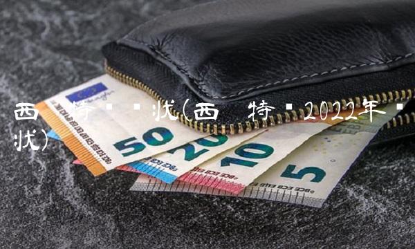 西宁特钢现状(西宁特钢2022年现状)