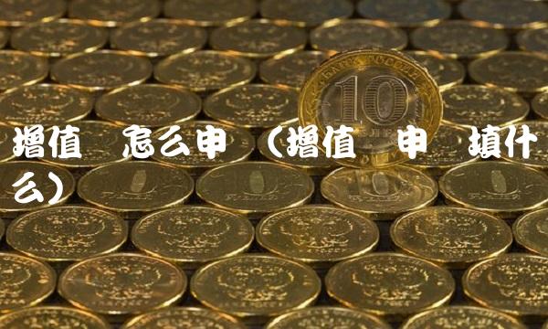 增值税怎么申报(增值税申报填什么)