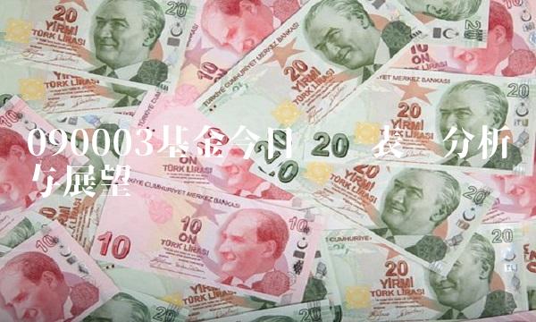 090003基金今日净值表现分析与展望