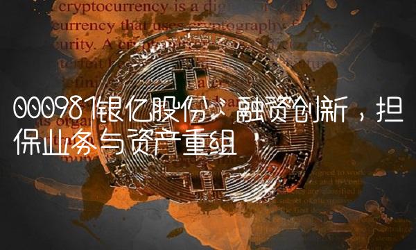 000981银亿股份：融资创新，担保业务与资产重组