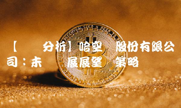 【专业分析】哈空调股份有限公司：未来发展展望与策略