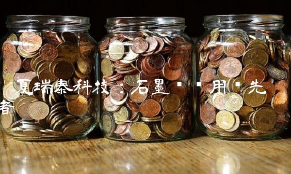 宁夏瑞泰科技：石墨烯应用领先者