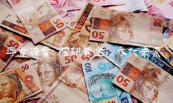 兴业矿业：深耕金，成就未来