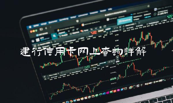 建行信用卡网上查询详解(1)(1)