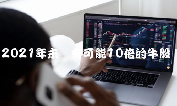 2021年未来有可能10倍的牛股(suglabId_1)