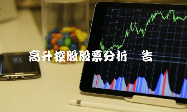 高升控股股票分析报告