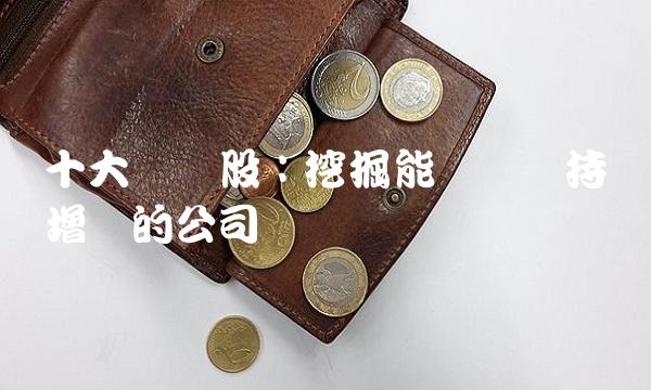 十大蓝筹股：挖掘能够实现持续增长的公司