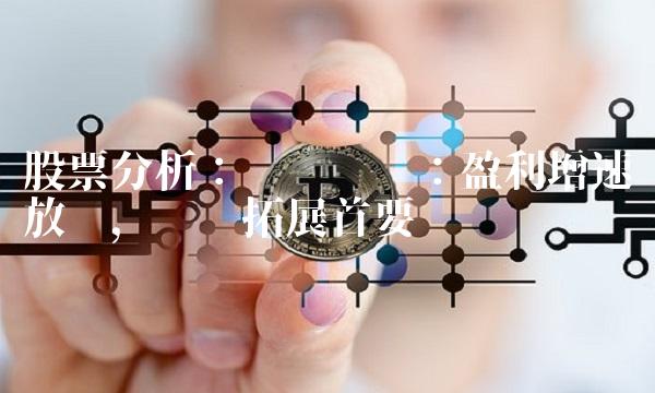 股票分析：华泽钴镍：盈利增速放缓，业务拓展首要