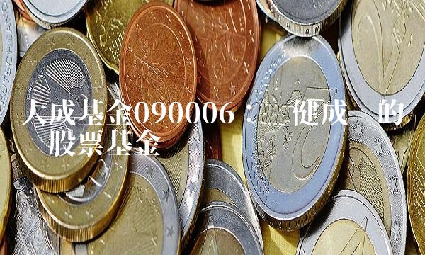 大成基金090006：稳健成长的优质股票基金