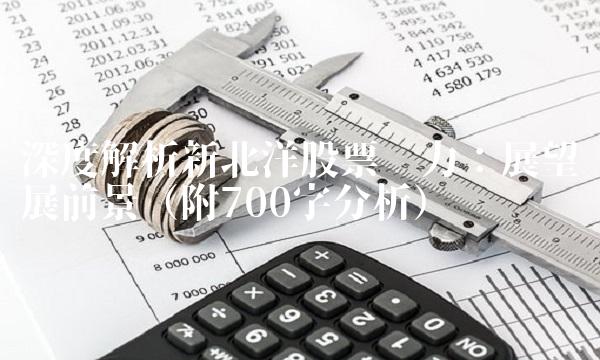 深度解析新北洋股票实力：展望发展前景（附700字分析）