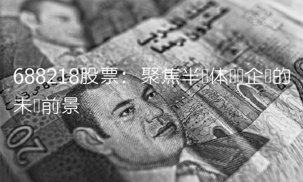 688218股票：聚焦半导体龙头企业的未来前景