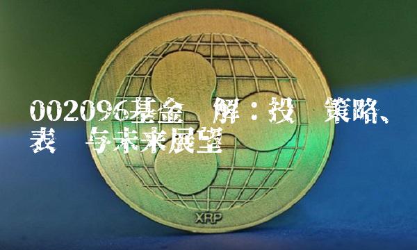 002096基金详解：投资策略、表现与未来展望