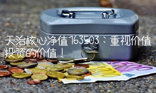 天治核心净值163503：重视价值投资的价值！