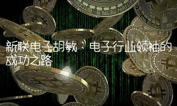 新联电子胡敏：电子行业领袖的成功之路