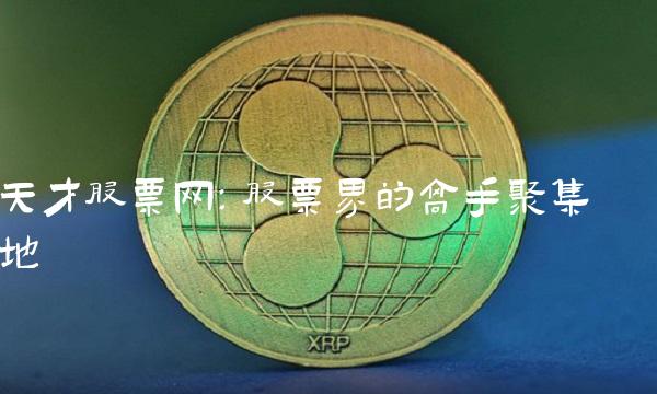天才股票网：股票界的高手聚集地