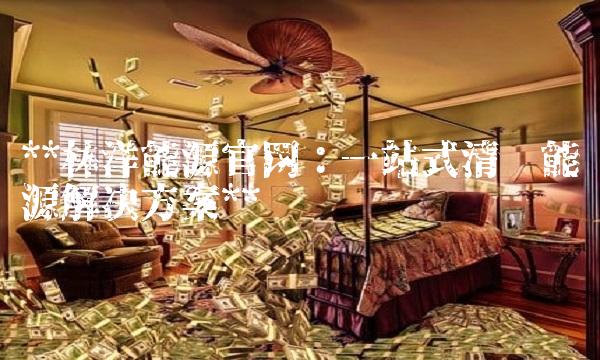 林洋能源：一站式清洁能源解决方案