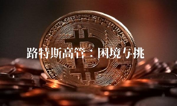 路特斯高管：困境与挑战