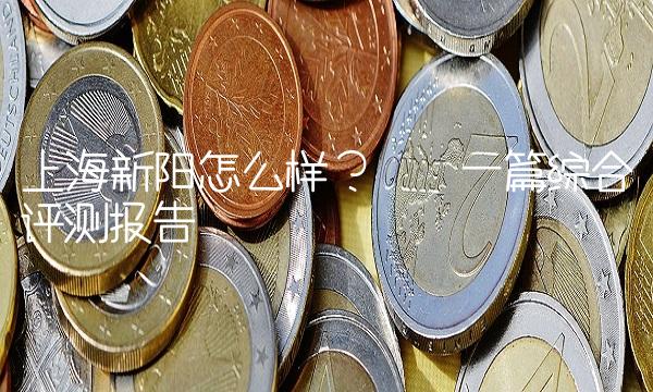 上海新阳怎么样？——一篇综合评测报告