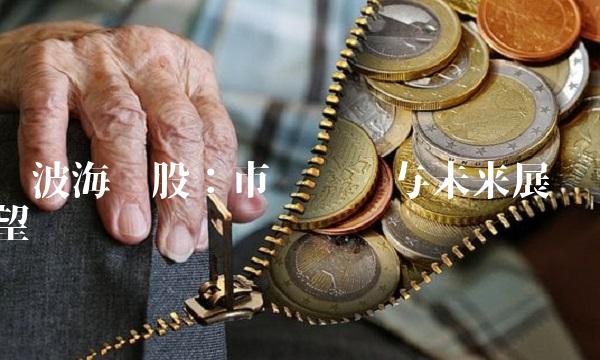 宁波海运股：市场趋势与未来展望