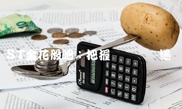 ST金花股吧：把握风险与机遇