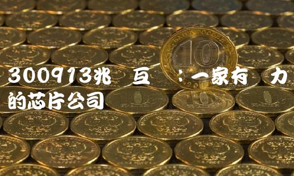 300913兆龙互连：一家有潜力的芯片公司