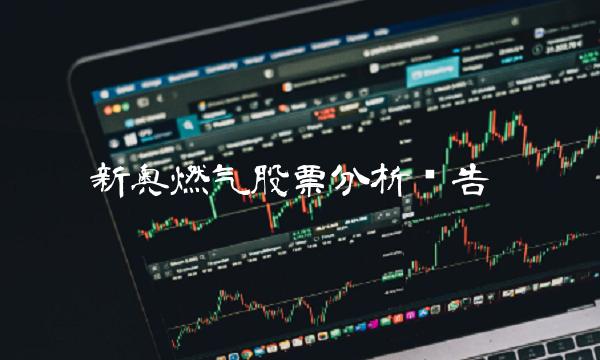 新奥燃气股票分析报告