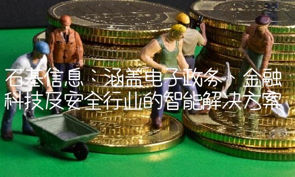 石基信息：涵盖电子政务、金融科技及安全行业的智能解决方案