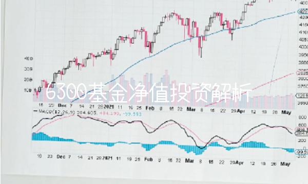 6300基金净值投资解析
