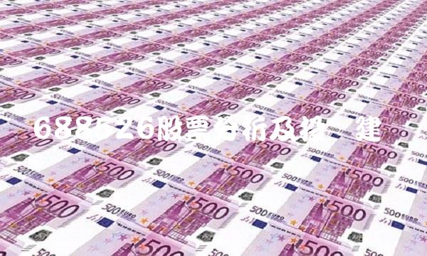 688526股票分析及投资建议