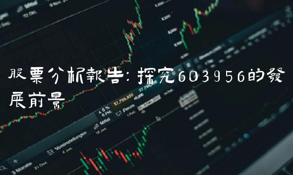 股票分析报告：探究603956的发展前景