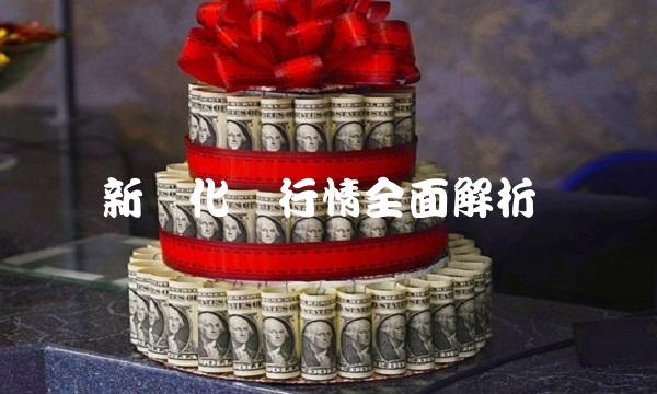 新乡化纤行情全面解析