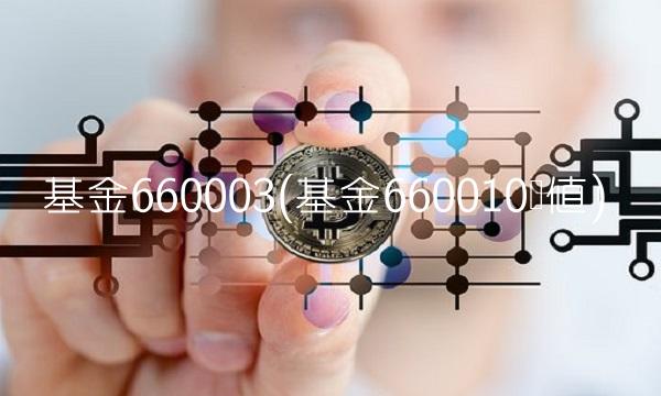 基金660003(基金660010净值)