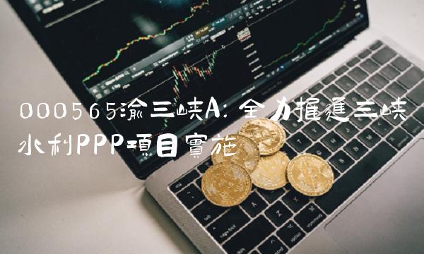 000565渝三峡A：全力推进三峡水利PPP项目实施