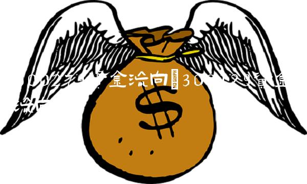 600279资金流向(300129资金流向)
