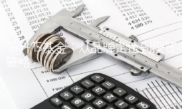 163415基金：从品牌定位到投资策略