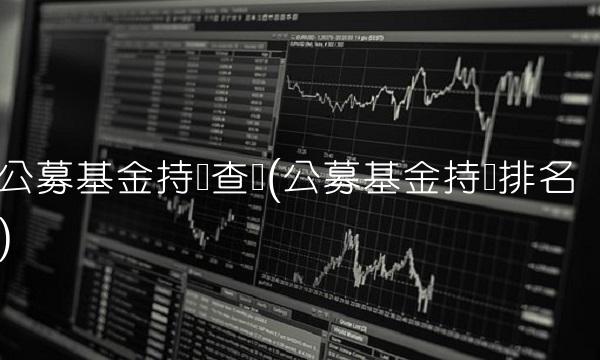 公募基金持仓查询(公募基金持仓排名)