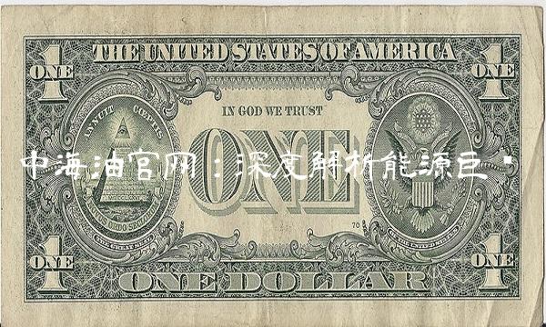 中海油：深度解析能源巨头