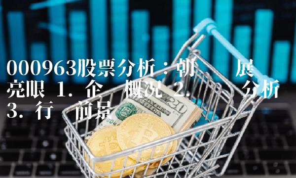 000963股票分析：朝阳发展业绩亮眼 1. 企业概况 2. 财务分析 3. 行业前景