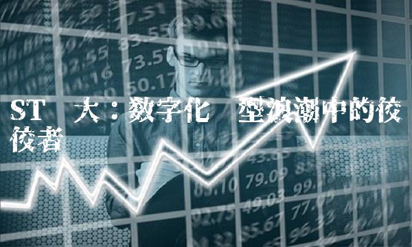 ST庞大：数字化转型浪潮中的佼佼者