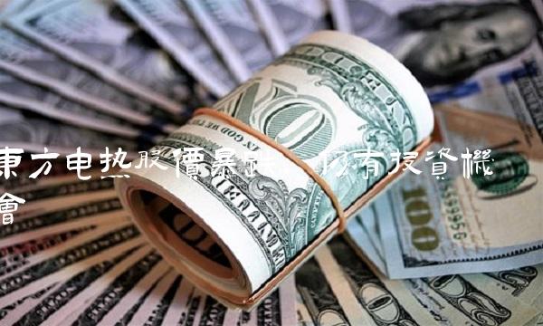 东方电热股价暴跌，仍有投资机会