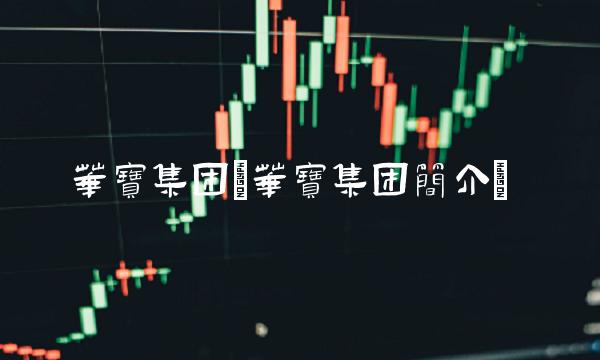 华宝集团(华宝集团简介)