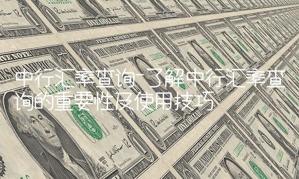 中行汇率查询-了解中行汇率查询的重要性及使用技巧