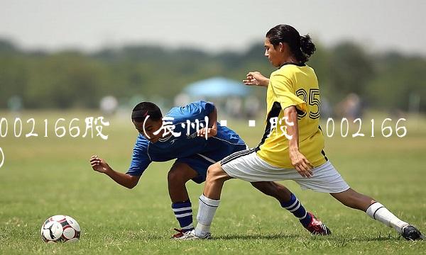 002166股吧(辰州矿业股吧002166)