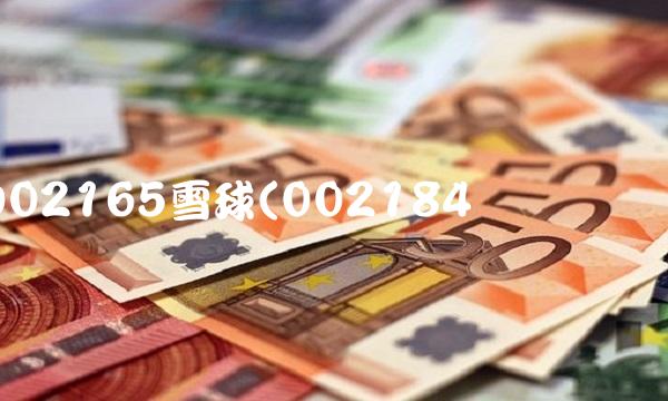 002165雪球(002184Ñ©Çò)(1)