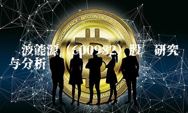 宁波能源（600982）股吧研究与分析