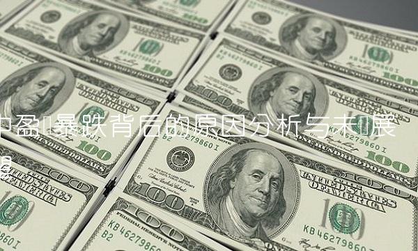 中盈达暴跌背后的原因分析与未来展望