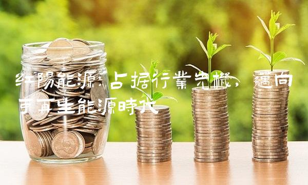 红阳能源：占据行业先机，迈向可再生能源时代